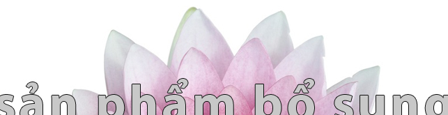 header_san_phma_bo_sung